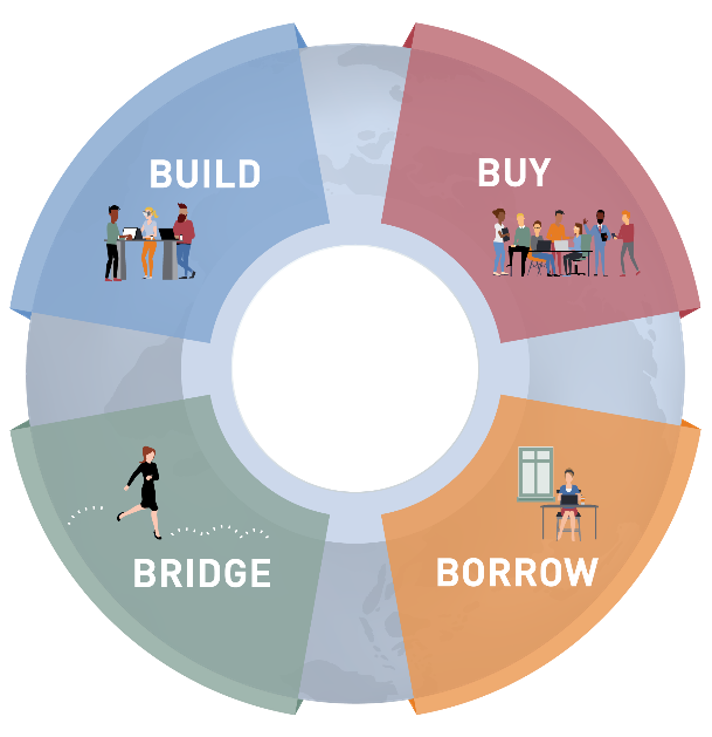 Build, Buy, Borrow and Bridge